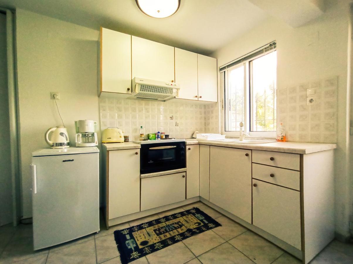 Maris Full Apartment With Roof Garden Access Хиос Экстерьер фото